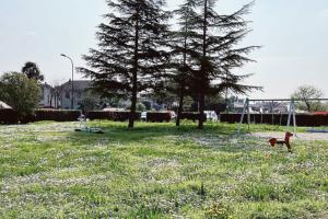 Più sicurezza nei parchi