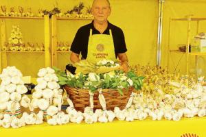 Via il cibo spazzatura dalle scuole