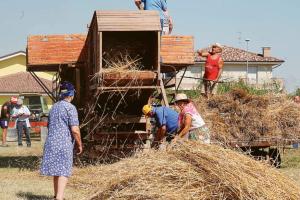 Festa del grano, “le nostre radici”