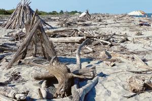 “Così tradiamo i nostri turisti”