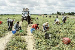 “Tutelare la dignità del lavoro”