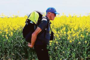 San Bartolomeo, fede e celebrazioni