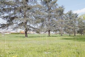 Novanta alberi per una cultura eco
