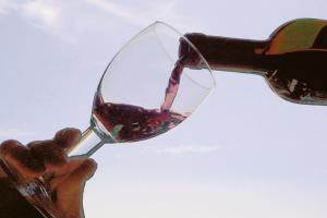 Così il vino entra in biblioteca