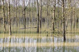Una risposta ai cambiamenti climatici