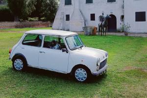 E’ riapparsa la Mini di Cibotto