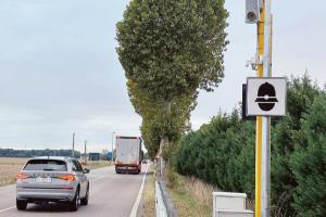 "Tutor illegale": depositata la querela