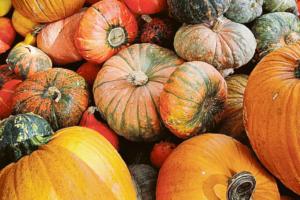Riscoprire i “Sapori d’autunno”