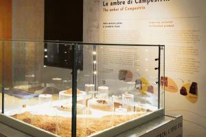 Ambra e storia tra Estonia e Polesine