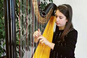 Rovigo e Nizza unite dalla musica dell’arpa