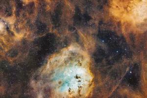 Dal giardino fotografa le stelle