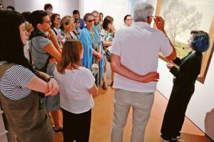 Il Roverella vola, Rovigo non decolla