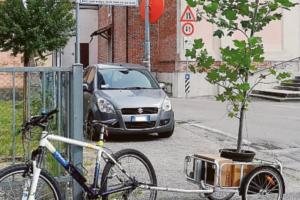 Befane in bici piantano gli alberi