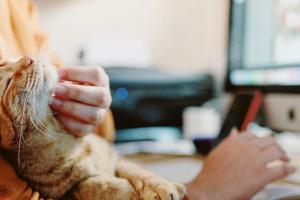 In partenza col corso!