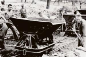 Domani il libro in edicola