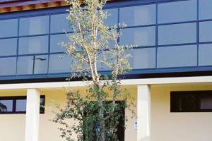 Due appuntamenti per ricordare l’orrore