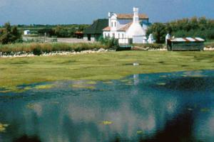 “Serve un cambio di guida”