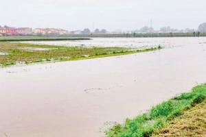 Alluvioni, aggiornate le mappe