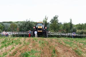 La sicurezza scende in campo