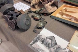 Anche gli animali hanno fatto la guerra