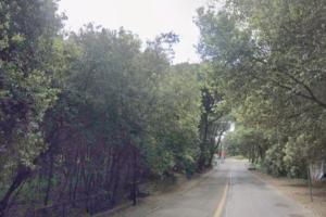 Ciclabile, progetto approvato