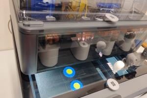 Lavoro, sguardo verso il futuro