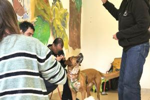 Gli animali contro l’autismo