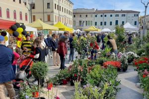 Un ricco calendario per “Adria in fiore”