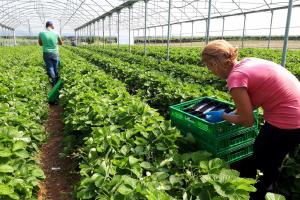 A sostegno dell’agricoltura locale