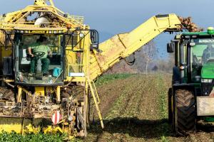 Crisi zucchero, via al ricollocamento