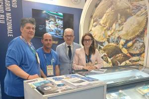 Il granchio blu vola a Barcellona