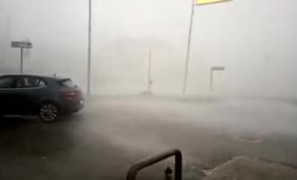 Vento violentissimo, un grosso platano si &egrave; abbattuto sulla Regionale