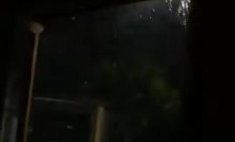 Grandine e piogge torrenziali: colpito l'Alto Polesine