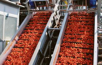 Il satellite per i campi di pomodoro