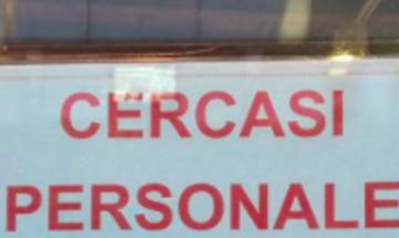 75 nuove offerte di lavoro a Rovigo