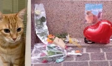 Lacrime e peluche per Rossini: &ldquo;Ci mancher&agrave; tanto&rdquo;