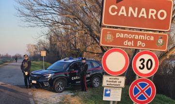 Munizioni in cassaforte, denunciato