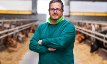 Bovini, allarme per costi e ristalli