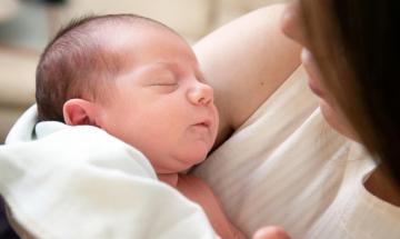 Bonus mamme, via ai termini