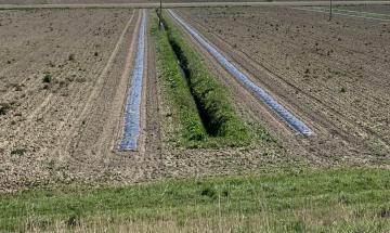 L&rsquo;agricoltura protegge le sponde