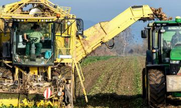 Crisi zucchero, via al ricollocamento