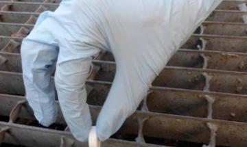 &ldquo;Ognuno deve fare la sua parte&rdquo;