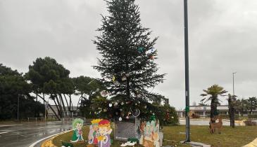 Vento e pioggia, a rischio l'albero del turista