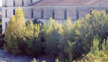 Caserma dismessa, il degrado in casa