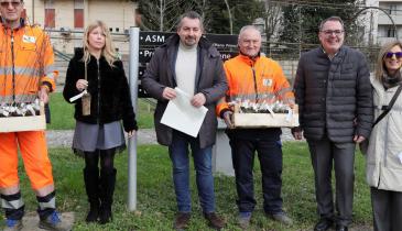 Le piante arrivano nelle case