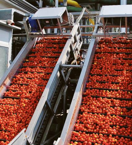 Il satellite per i campi di pomodoro