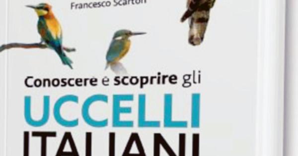 Ecco la guida per conoscere gli uccelli - La Voce di Rovigo