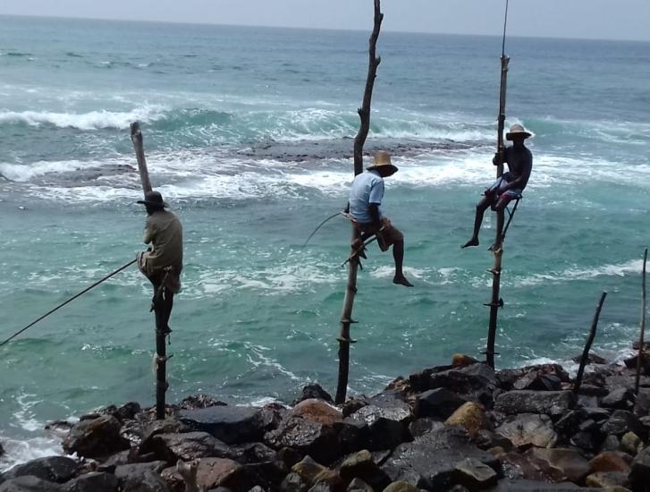 Sri Lanka, isola che risplende