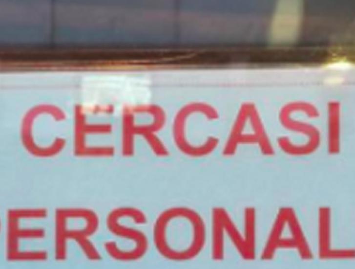 75 nuove offerte di lavoro a Rovigo