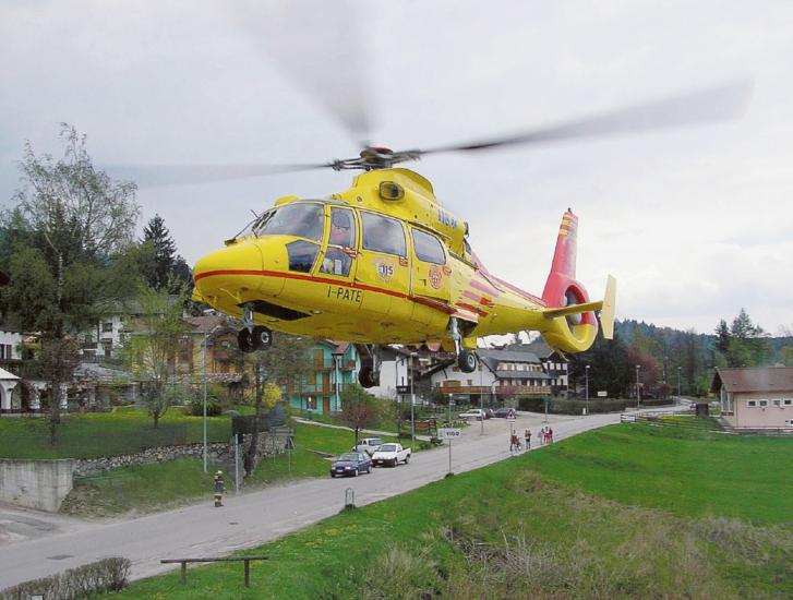 Sfregiata dal cane: ora sta meglio